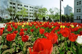 田家炳花圃